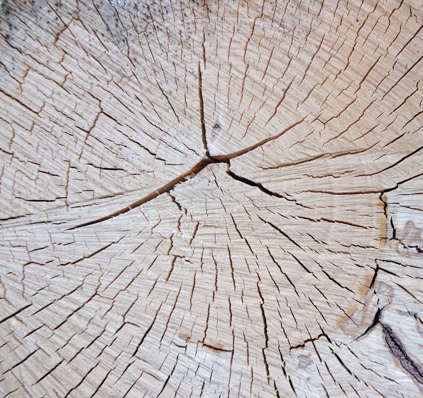 Advantages and Disadvantages of wood for the structure of a house Advantages and Disadvantages of wood for the structure of a house