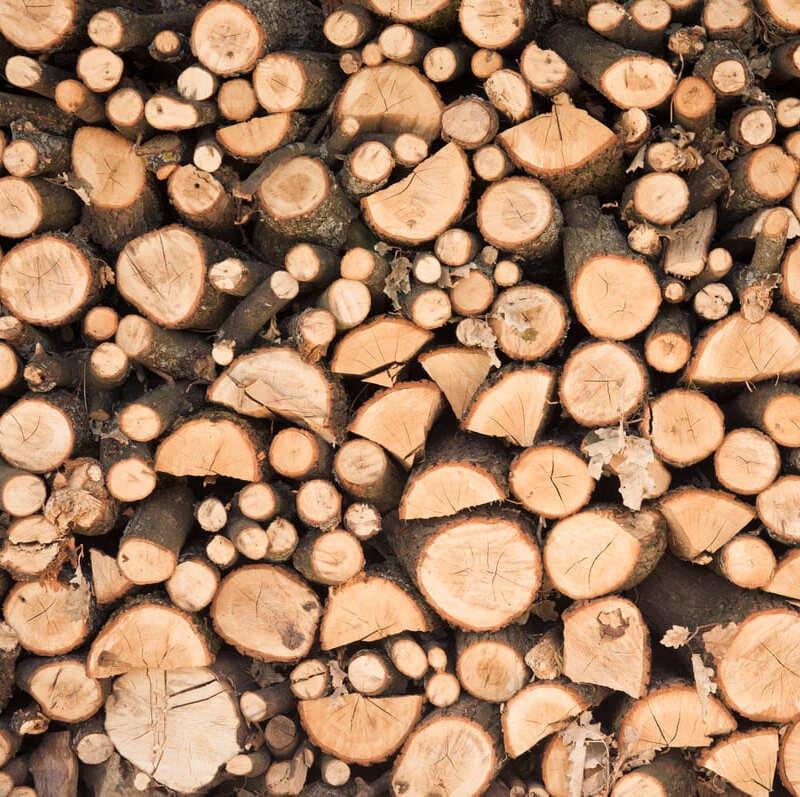 Wood as a Structural Element Wood as a Structural Element