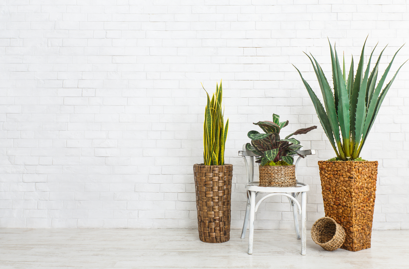 Exposed brick walls Modern interior