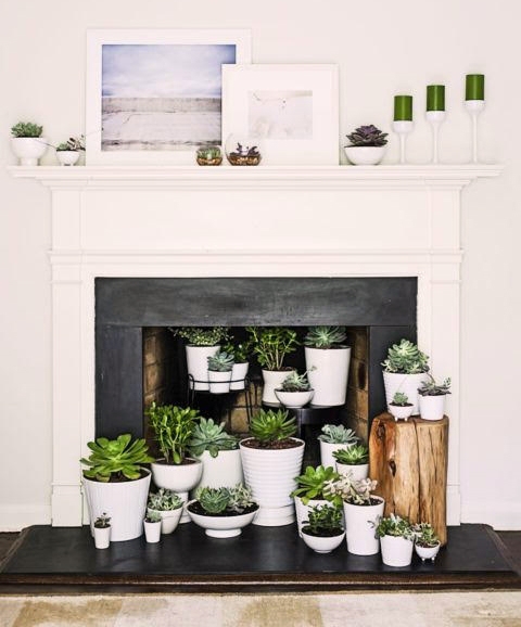 Parquet para el hogar Parquet para el hogar, ¿Qué suelo poner en casa?