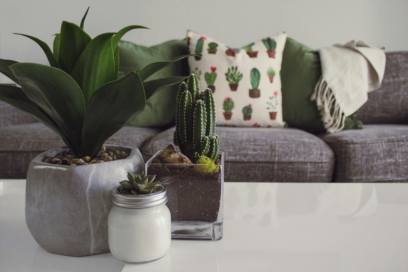 30 ideas originales para decorar con plantas